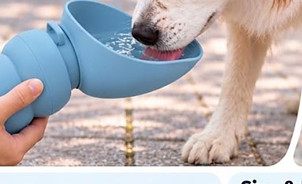 Pet Outdoor Water Mug