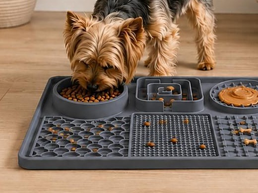 Pets Feeding Mat