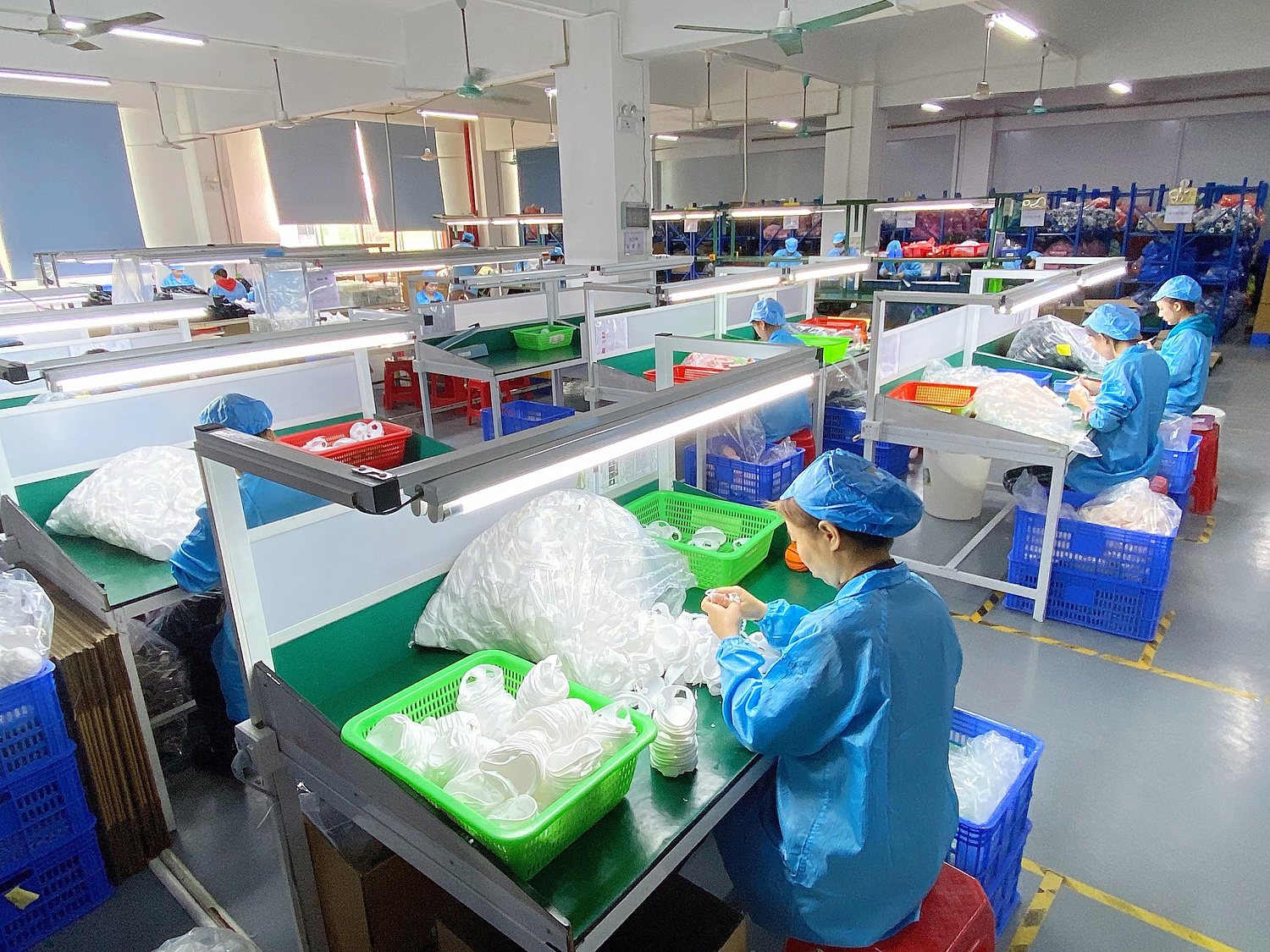Packing and export line